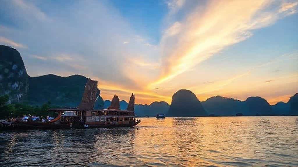elephants walking near the shoreline during a mekong elephant cruise