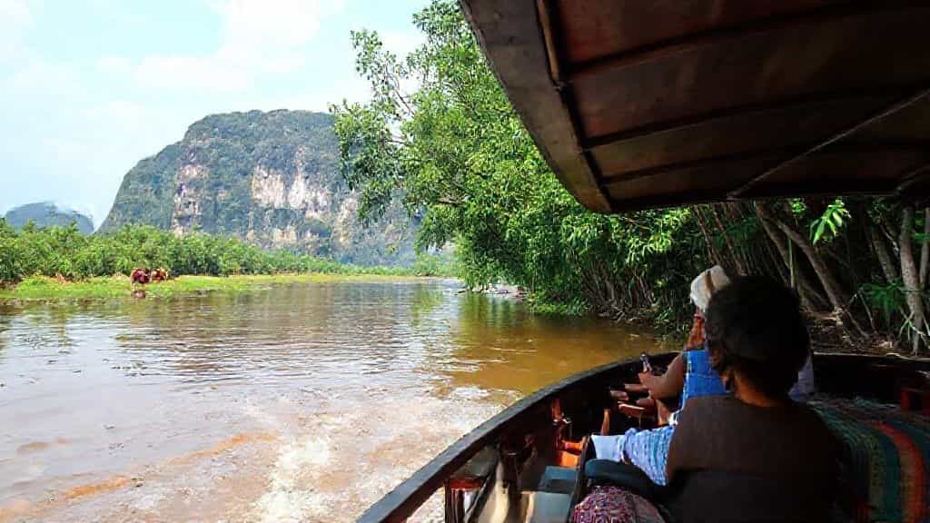 scenic mekong cruise featuring elephants along the river’s edge